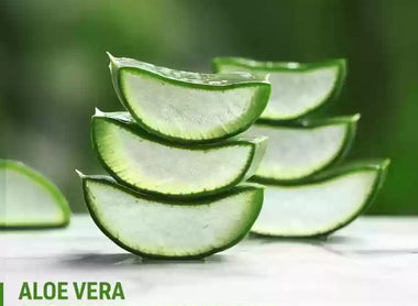 Aloe Vera: The Ultimate Skin Soother and Hydrator